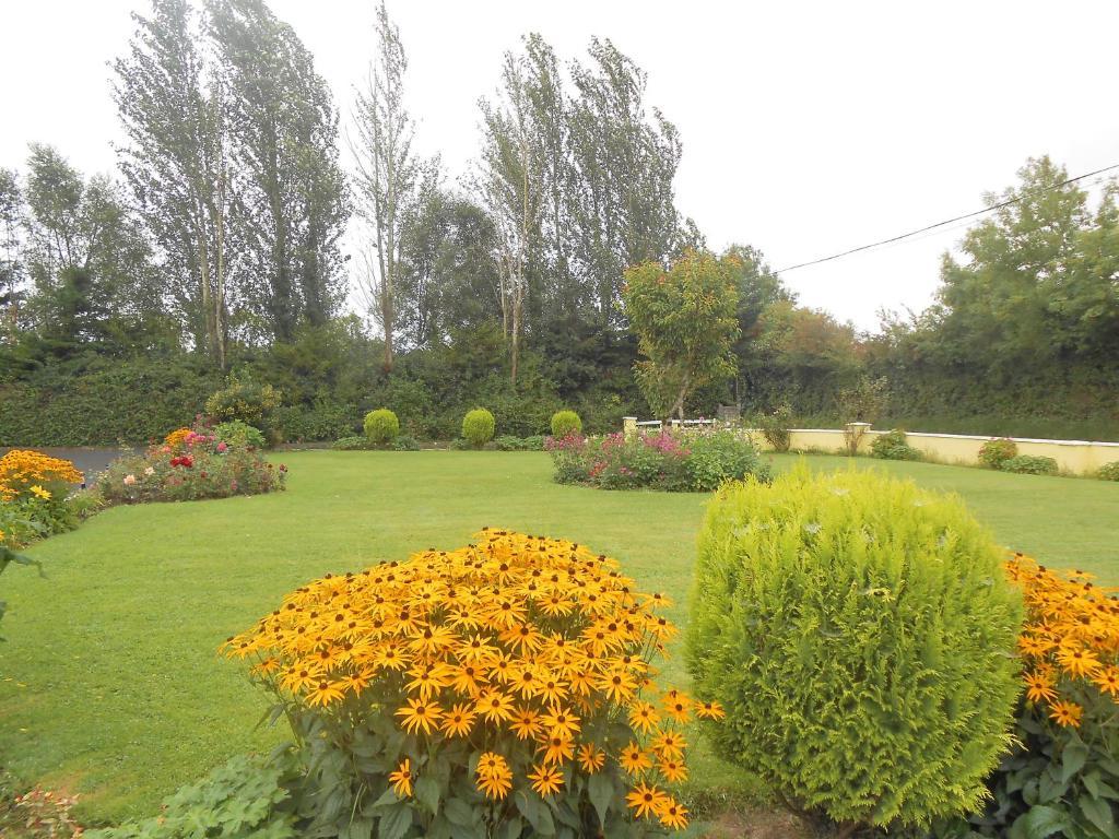 Gallows View Bed & Breakfast Bunratty Værelse billede